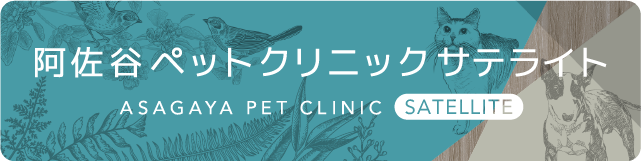 阿佐谷ペットクリニック サテライト